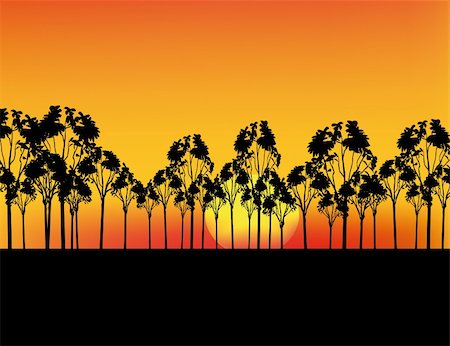 Nice sunset in Africa with red sky and silhouettes Stock Photo - Budget Royalty-Free & Subscription, Code: 400-05190366