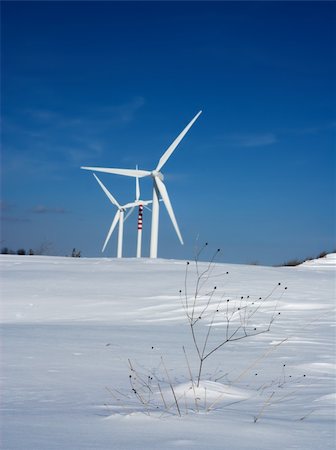 Dry grass and snow with wind turbines on background (selective focus on foreground) Foto de stock - Super Valor sin royalties y Suscripción, Código: 400-05190919