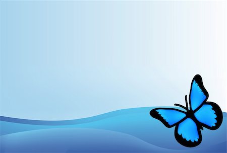 nice blue butterfly isolated on white  background Foto de stock - Super Valor sin royalties y Suscripción, Código: 400-05191056