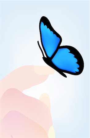 simsearch:400-07033341,k - nice illustration of butterfly sitting on hand Foto de stock - Super Valor sin royalties y Suscripción, Código: 400-05191057