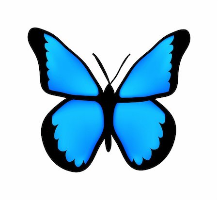 nice blue butterfly isolated on white  background Foto de stock - Super Valor sin royalties y Suscripción, Código: 400-05191051