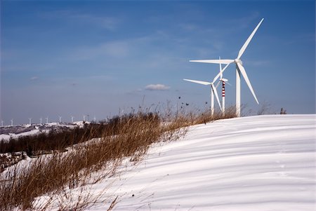 Dry grass and wind turbines on snowy hills Foto de stock - Super Valor sin royalties y Suscripción, Código: 400-05191270