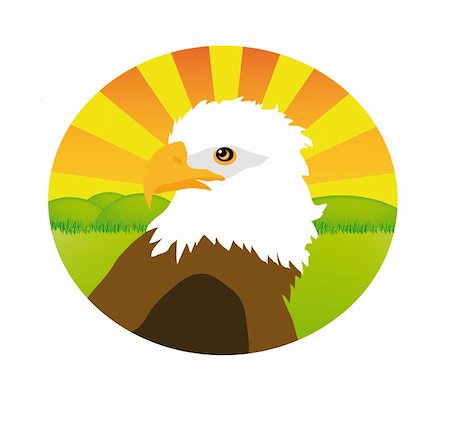 eagle in circle isolated on white background Stock Photo - Budget Royalty-Free & Subscription, Code: 400-05191646