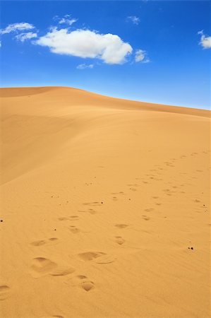 sahara desert terrain - sand dunes and cumulus clouds over them Stock Photo - Budget Royalty-Free & Subscription, Code: 400-05192204