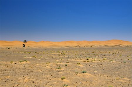 simsearch:400-05192544,k - wide view of the edge of the  desert Stock Photo - Budget Royalty-Free & Subscription, Code: 400-05192544