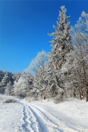 simsearch:400-05063238,k - track on the edge of a winter forest Stock Photo - Budget Royalty-Free & Subscription, Code: 400-05193054