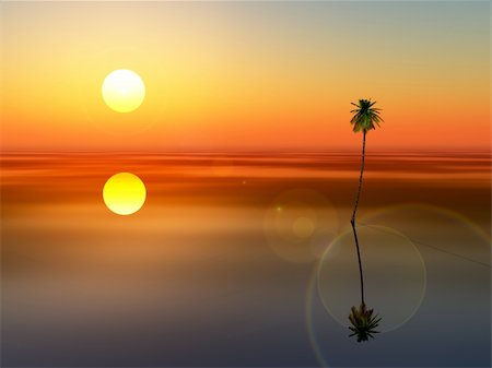 A coconut tree sunset on very calm peaceful sea. Stock Photo - Budget Royalty-Free & Subscription, Code: 400-05193693