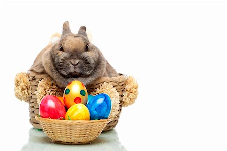 Little cute Easter bunny sitting in a basket. In front of him is a small basket full of colored easter eggs. Isolated on white background. Stock Photo - Budget Royalty-Free & Subscription, Code: 400-05204258