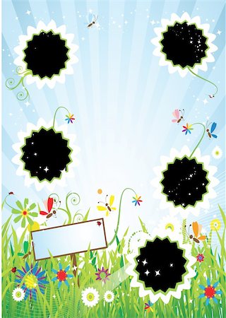 simsearch:400-04382842,k - Summer meadow, insert text or photo into frames Photographie de stock - Aubaine LD & Abonnement, Code: 400-05206631