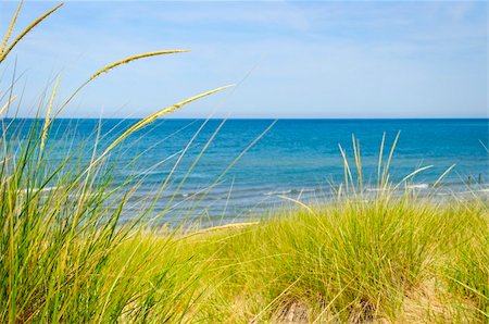 simsearch:400-04218118,k - Grass on sand dunes at beach. Pinery provincial park, Ontario Canada Foto de stock - Super Valor sin royalties y Suscripción, Código: 400-05206739
