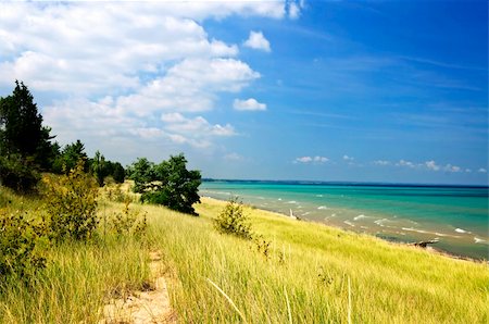 simsearch:400-08223992,k - Sand dunes at beach shore. Pinery provincial park, Ontario Canada Stock Photo - Budget Royalty-Free & Subscription, Code: 400-05206740