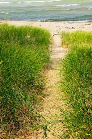 simsearch:400-08223992,k - Entrance path to beach. Pinery provincial park, Ontario Canada Stock Photo - Budget Royalty-Free & Subscription, Code: 400-05206741