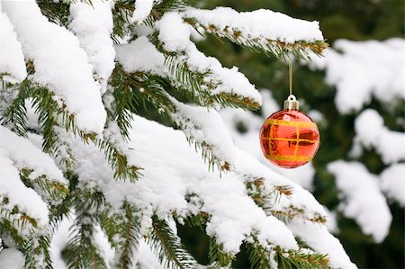 simsearch:400-04723812,k - Christmas decorating bulbs and a snowy branch Stock Photo - Budget Royalty-Free & Subscription, Code: 400-05208748