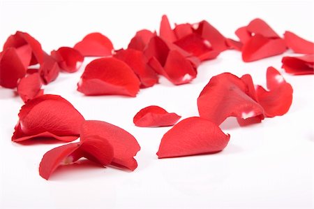 simsearch:400-04436052,k - Red rose petals Stock Photo - Budget Royalty-Free & Subscription, Code: 400-05208875