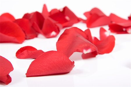 simsearch:700-02586206,k - Red rose petals Stock Photo - Budget Royalty-Free & Subscription, Code: 400-05208876