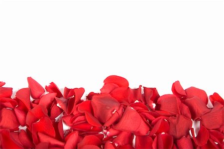 simsearch:700-02586206,k - Red rose petals Stock Photo - Budget Royalty-Free & Subscription, Code: 400-05208986