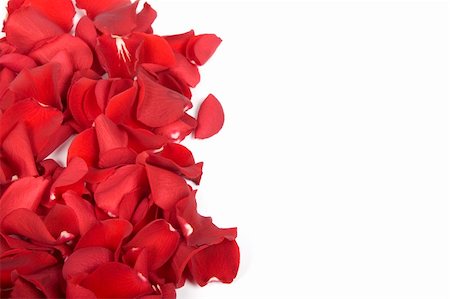 simsearch:400-05159216,k - Red rose petals Stock Photo - Budget Royalty-Free & Subscription, Code: 400-05208987