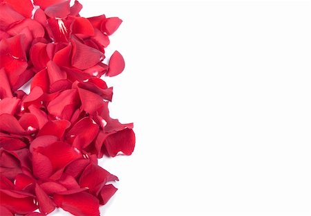 simsearch:400-05159213,k - Red rose petals Stock Photo - Budget Royalty-Free & Subscription, Code: 400-05208988
