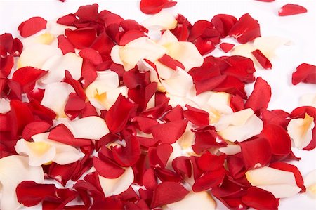 simsearch:400-04436052,k - Red rose petals Stock Photo - Budget Royalty-Free & Subscription, Code: 400-05208994