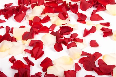 simsearch:400-05159216,k - Red rose petals Stock Photo - Budget Royalty-Free & Subscription, Code: 400-05208995