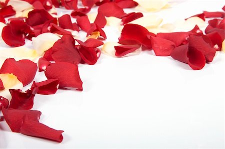 simsearch:400-04436052,k - Red rose petals Stock Photo - Budget Royalty-Free & Subscription, Code: 400-05208997