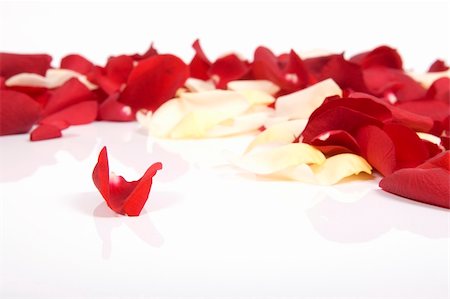 simsearch:700-02586206,k - Red rose petals Stock Photo - Budget Royalty-Free & Subscription, Code: 400-05208998