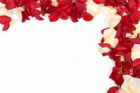 Red rose petals Stock Photo - Budget Royalty-Free & Subscription, Code: 400-05209000