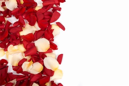 simsearch:400-05159213,k - Red rose petals Stock Photo - Budget Royalty-Free & Subscription, Code: 400-05209001