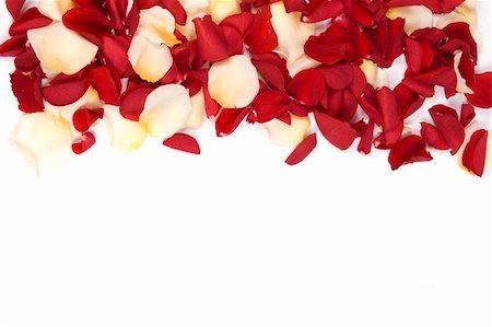 Red rose petals Stock Photo - Budget Royalty-Free & Subscription, Code: 400-05209002