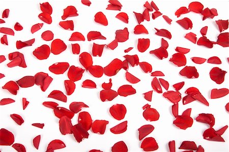 simsearch:700-02586206,k - Red rose petals Stock Photo - Budget Royalty-Free & Subscription, Code: 400-05209014