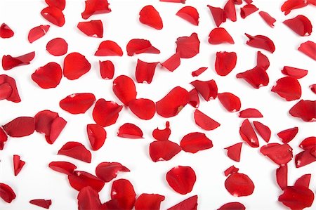 simsearch:400-05159213,k - Red rose petals Stock Photo - Budget Royalty-Free & Subscription, Code: 400-05209013