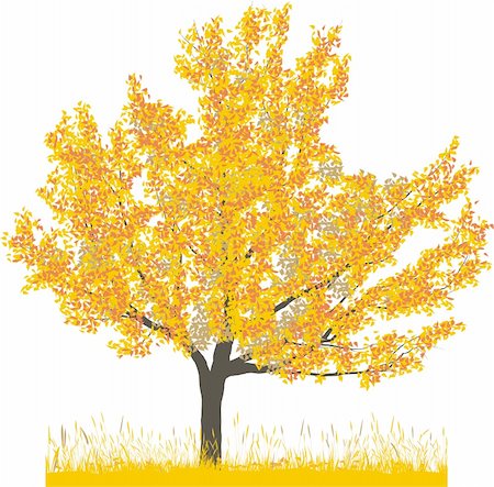 simsearch:400-05200584,k - Vector illustration of cherry tree in autumn Stock Photo - Budget Royalty-Free & Subscription, Code: 400-05200584