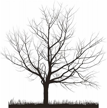 simsearch:400-05200584,k - Vector illustration of cherry tree in winter Stock Photo - Budget Royalty-Free & Subscription, Code: 400-05200587