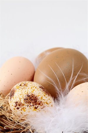 simsearch:400-04291976,k - Brown Easter eggs with feathers on white background Photographie de stock - Aubaine LD & Abonnement, Code: 400-05200810