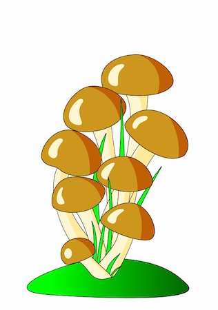 Brown mushrooms Stock Photo - Budget Royalty-Free & Subscription, Code: 400-05200995