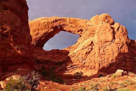 simsearch:400-03957500,k - Red Desert at Sunset, Arches National Park, Utah, USA Stockbilder - Microstock & Abonnement, Bildnummer: 400-05201099