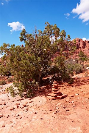 simsearch:400-03957500,k - Red Desert, Arches National Park, Utah, USA Stockbilder - Microstock & Abonnement, Bildnummer: 400-05201092