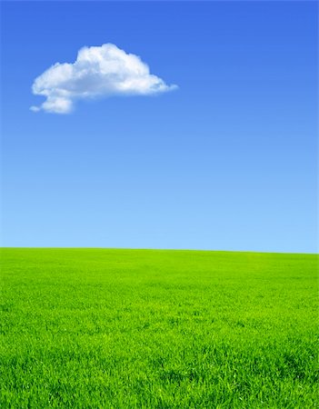 simsearch:400-04124483,k - Beautiful summer landscape. A green field, blue sky Photographie de stock - Aubaine LD & Abonnement, Code: 400-05202055