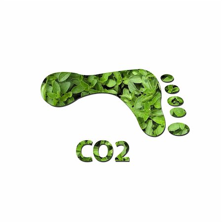 Footprint made up of green leaves to represent environmetal issues or carbon footprint. Stock Photo - Budget Royalty-Free & Subscription, Code: 400-05202147