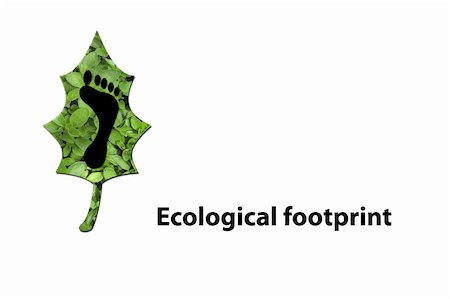 Green leaf and black footprint to represent environmetal issues or carbon footprint. Stock Photo - Budget Royalty-Free & Subscription, Code: 400-05202142
