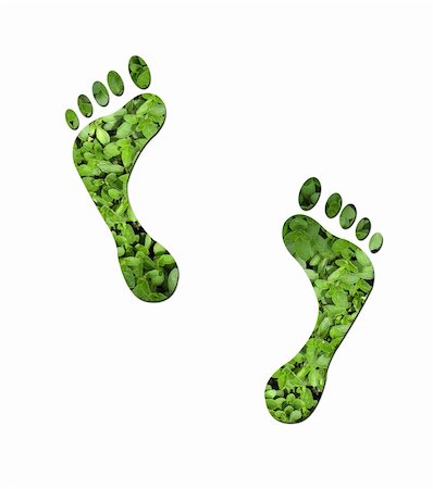 Footprints made up of green leaves to represent environmetal issues or carbon footprint. Stock Photo - Budget Royalty-Free & Subscription, Code: 400-05202165
