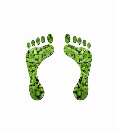 Footprints made up of green leaves to represent environmetal issues or carbon footprint. Stock Photo - Budget Royalty-Free & Subscription, Code: 400-05202166