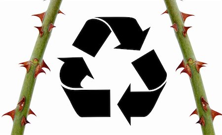 simsearch:400-04176789,k - Two green branches with brown thorns surrounding a recycling symbol symbolizing that you have to make a sacrifice in order to save the environment. Stock Photo - Budget Royalty-Free & Subscription, Code: 400-05202210