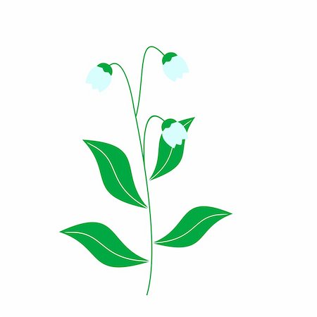 Vector illustration of lily of the valley Photographie de stock - Aubaine LD & Abonnement, Code: 400-05203708