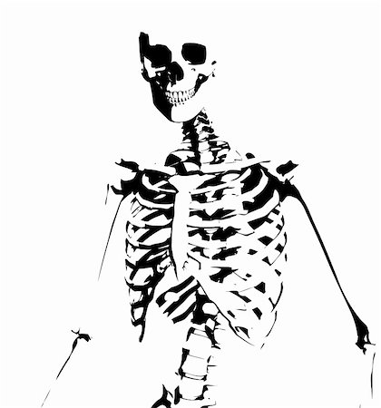 Image of an illustrated skeleton for medical or Halloween concepts. Foto de stock - Royalty-Free Super Valor e Assinatura, Número: 400-05203909