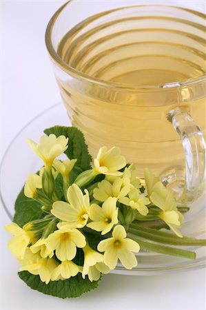 simsearch:400-04691031,k - Healthy herbal tea made from freshly picked primroses Photographie de stock - Aubaine LD & Abonnement, Code: 400-05215062