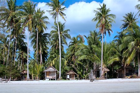 simsearch:400-08706307,k - Beach huts under coconut palms Photographie de stock - Aubaine LD & Abonnement, Code: 400-05215995