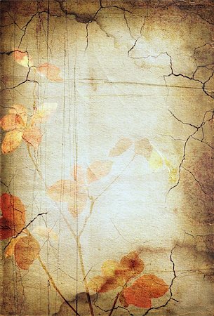 simsearch:400-05359793,k - vintage background image with interesting texture and flowers. Stock Photo - Budget Royalty-Free & Subscription, Code: 400-05216211
