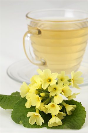 simsearch:400-04691031,k - Healthy herbal tea made from freshly picked primroses Photographie de stock - Aubaine LD & Abonnement, Code: 400-05216833