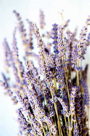 A bunch of dried lavender. Stockbilder - Microstock & Abonnement, Bildnummer: 400-05216842